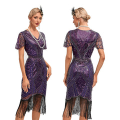 1920s The Great Gatsby Outfit Sheath/Column V-Neck Sequins Vintage Dresses